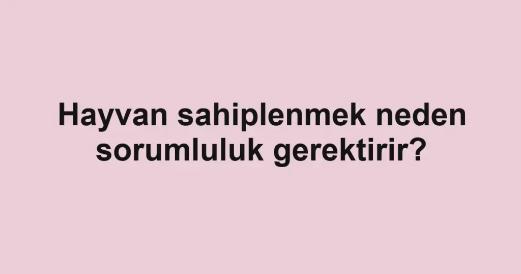 Hayvan sahiplenmek neden sorumluluk gerektirir?
